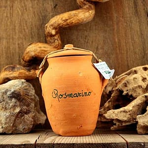Rosmarino (20g)