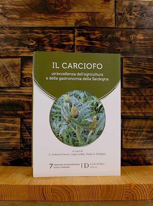 carciofo-1.jpg Il carciofo