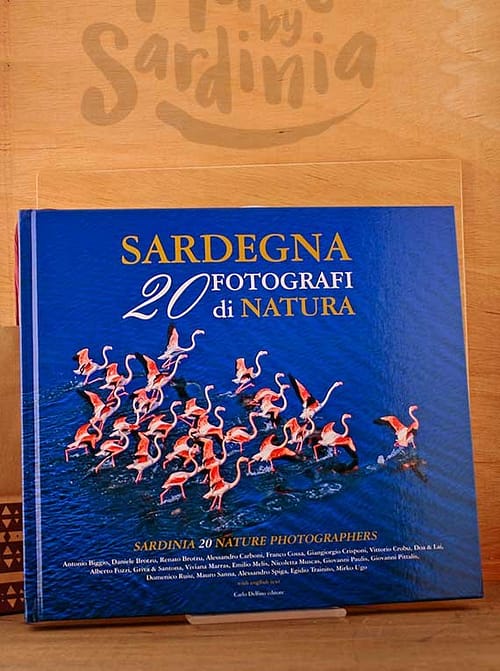 sardegna-20-fotografi.jpg Sardegna 20 fotografi di natura