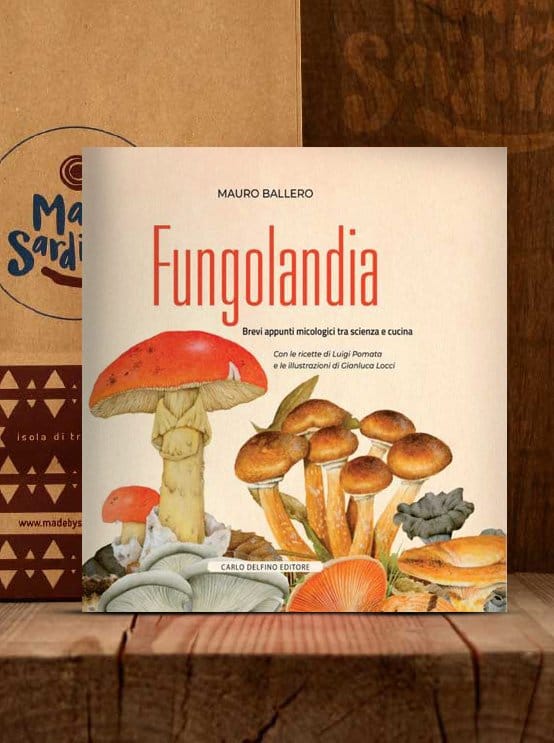 fungolandia.jpg Fungolandia