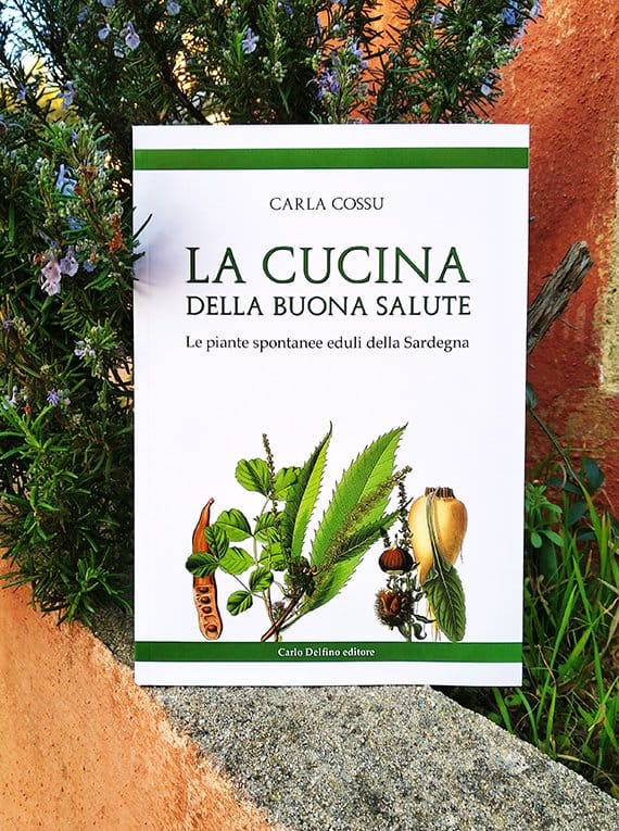 lacucinadellabuonasalute.jpg La cucina della buona salute